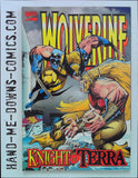 Wolverine: Knight of Terra 1 - 1995 - F/VF  Story by Ian Edginton and John Ostrander, art by Jan Duursema and Rick Magyar. Guest-starring the Uncanny X-Men and Wolfsbane. Wolverine defends a mystical kingdom from the savage and dreaded Great Beast. Cover price $6.95