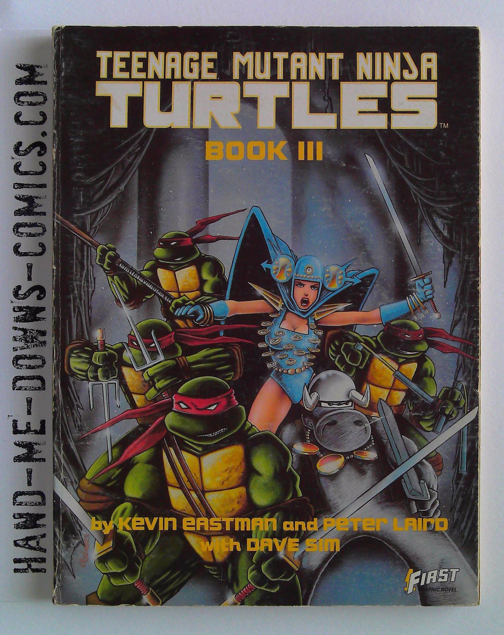 Teenage Mutant Ninja Turtles Book III - 1989 - G – Hand-Me-Downs